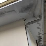 Kleenit - external ceiling with black stains due to flooding