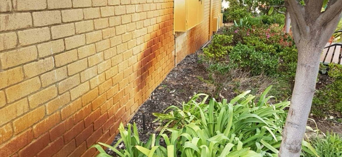 brick-bore-stain-removal-garden