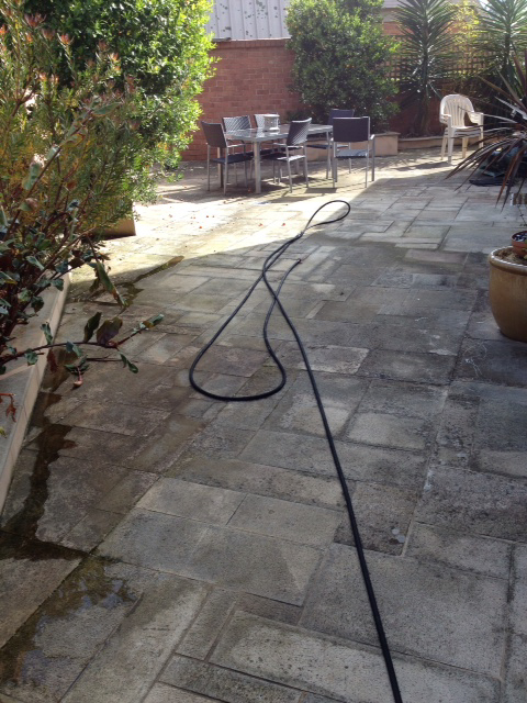 Paver Cleaning